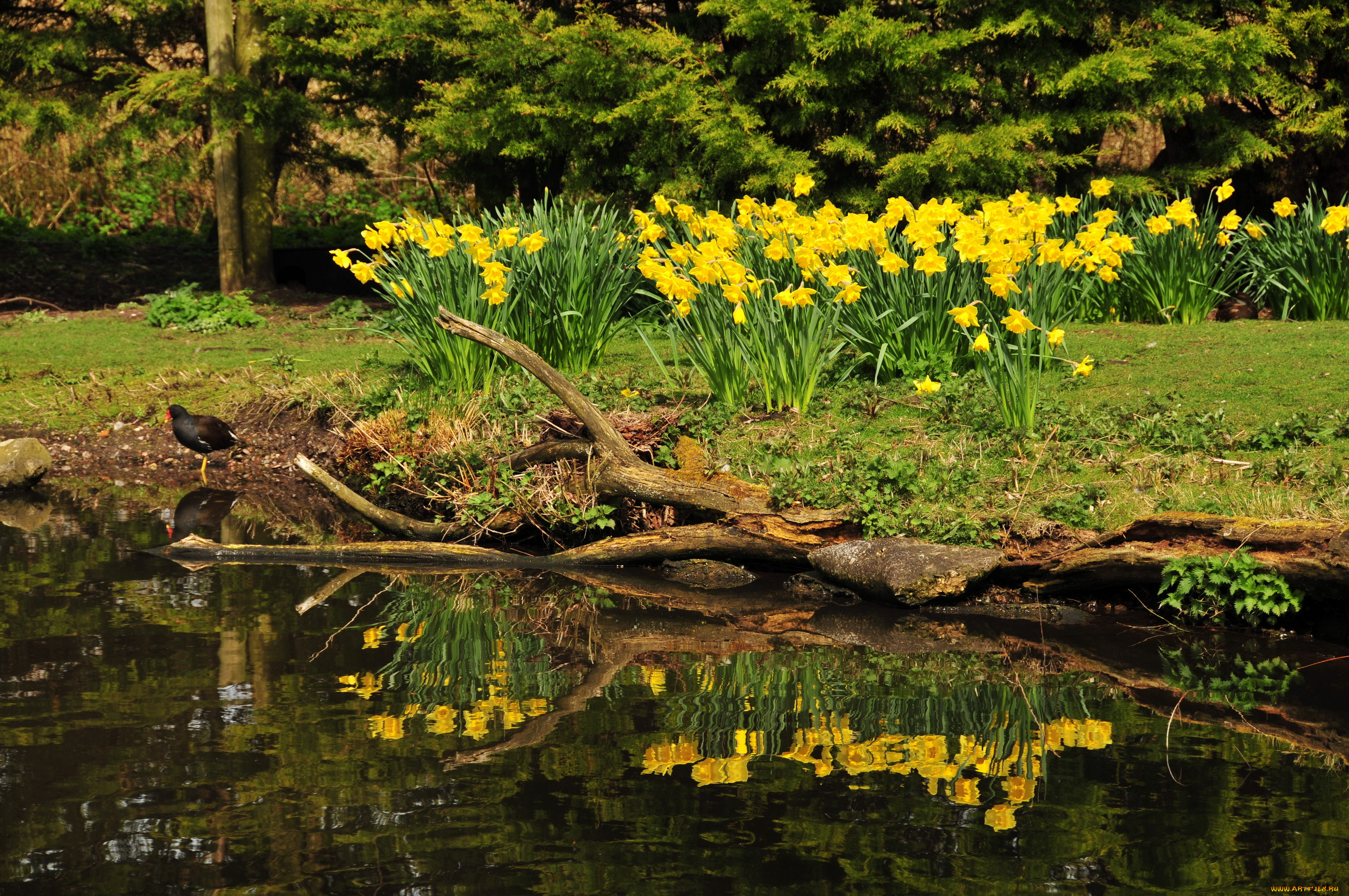 horwich, , , , , , 